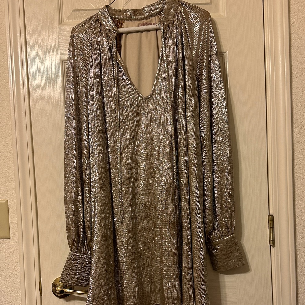 Shimmering Gold Mini Dress